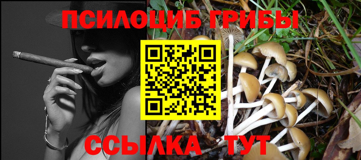 Галлюциногенные грибы мицелий Надым