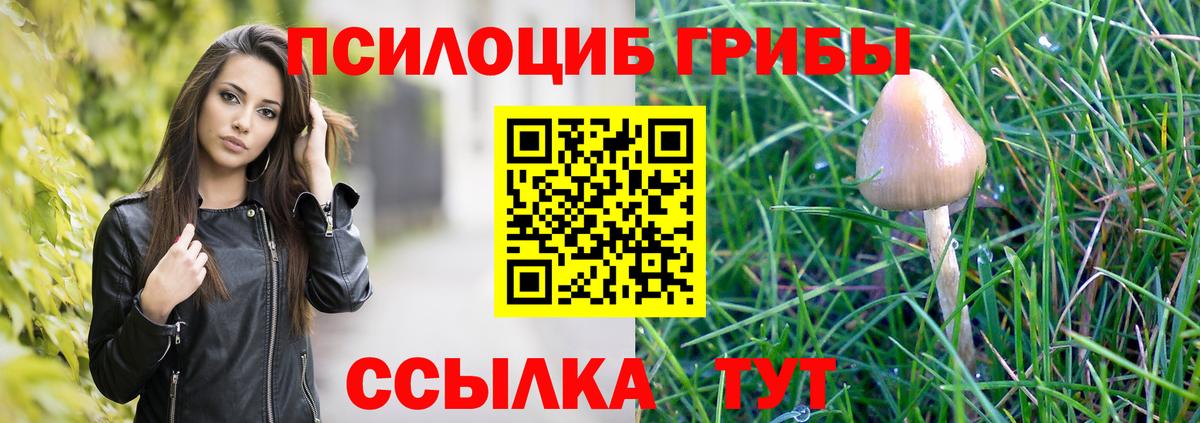 Галлюциногенные грибы Cubensis  где купить   Надым  Вход с VPN  Псилоцибиновые грибы мицелий 